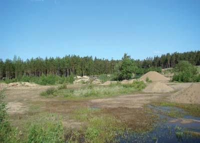 Kunnostussuositukset Lampien/ kosteikkojen täyttö tai yhdistäminen ja syventäminen Matalia, lähes umpeenkasvaneita lampia.