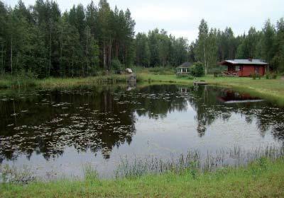 Kohtalainen kunnostustarve on kuopan 6 lampien täytöllä, koska alueen vedenottamo sijaitsee kuopassa.