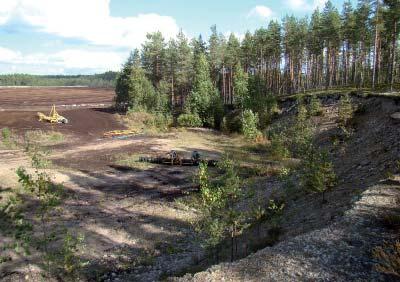 Maaperä Jämijärven alueen merkittävimmät sora- ja hiekkakerrostumat ovat Hämeenkankaan saumamuodostumassa jotka liittyvät Keski-Suomen reunamuodostumaan.