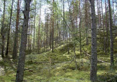 0221413 Hietaharjunkangas Pohjavesialueella sijaitsee yhteensä 17 maa-ainesten ottopaikkaa (pinta-alaltaan yhteensä noin 44 ha). Alueelle ei ole myönnetty maa-ainesten ottolupia.