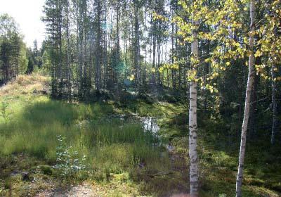 Kuopan 1 lammet ja kosteikot tulee täyttää sillä ne sijaitsevat vedenottamon välittömässä läheisyydessä.