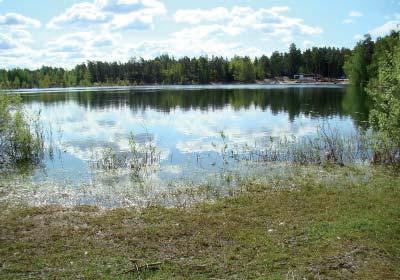 Kuopan alueella sijaitsee pieni lampi joka tulee joko täyttää tai syventää. 0201751 Soranen, Masku (ent.