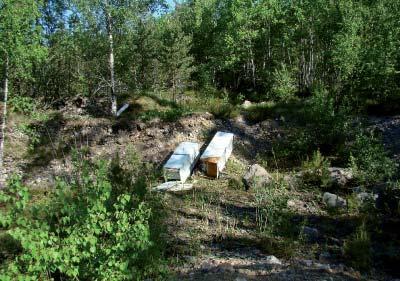 välittömässä läheisyydessä.