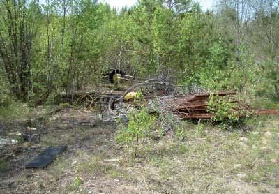 Muutoin alueen kuopat ovat pääosin metsittyneet tai metsittymässä, vaikkakaan kuoppia ei ole muotoiltu.