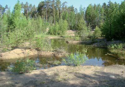 Kuopan 2 alue toimii osittain viljelyalueena. 0250305 Kalela Alueella on kuusi maa-ainesten ottopaikkaa ja kaikkien alueella maa-aineksia on otettu pohjaveden pinnan tasalle tai sen alle.