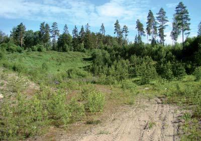 Osa karkearakeisista aineksista on kerrostunut rantavoimien uudelleen muokatessa moreenikerrostumia. Turvekerrostumia ja moreenikerrostumia Sauvon alueella on hyvin vähän.