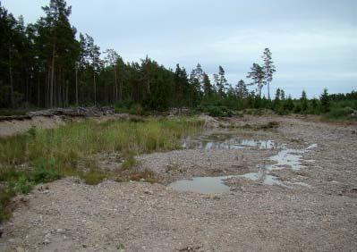 0204005 Rosalalandet Alueen kuopassa 3 on voimassa oleva maa-ainestenottolupa. Alueen maa-ainesten ottajaa tulee ohjeistaa oikean tyyppisen polttoainesäiliön käytöstä.