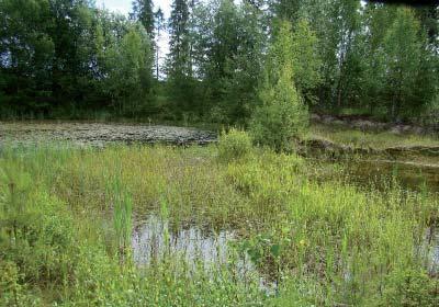 Kuoppa kaksi on pääosin muotoiltu, mikäli alueelta ei oteta enää aineksia kotitarvekäyttöön, tulisi alue maisemoida loppuun asti ja alueelle tuodut kannot ja humusainekset poistaa.