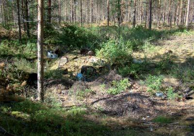 0224351 Skinnarvik Alue on kokonaisuudessaan puolustusvoimien varastoalueella. Alueella on pieni maa-ainesten ottopaikka, joka tällä hetkellä toimii maa-ainesten varastokasa alueena.