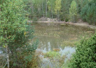 kahtia itä-länsi- suuntainen gneissivyöhyke, joka on Kisko-Kemiön leptiittivyöhykkeen läntinen jatke.