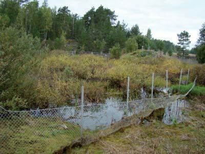 Vedenottamon välittömässä läheisyydessä sijaitsevat lammet ja kosteikot tulee täyttää. Sellmon kuopan 2 alueella oleva pieni lampi.