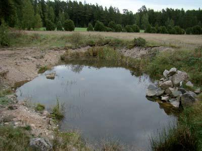 Kuopan pohjalle ja rinteille tulisi levittää humuspitoista ainesta, niin että kasvillisuuden leviäminen helpottuisi. Kuoppa 2 on erittäin suuri maa-ainesten ottoalue, jolta ei enää ole ottoa.