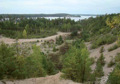 Lisäksi kuopassa on paikoin pieniä ja matalia lampia, joiden alueelta tulisi pohjaveden yläpuolisen maa-ainesten kerrospaksuus tarkistaa. Kuopassa on motocross-ajorata.