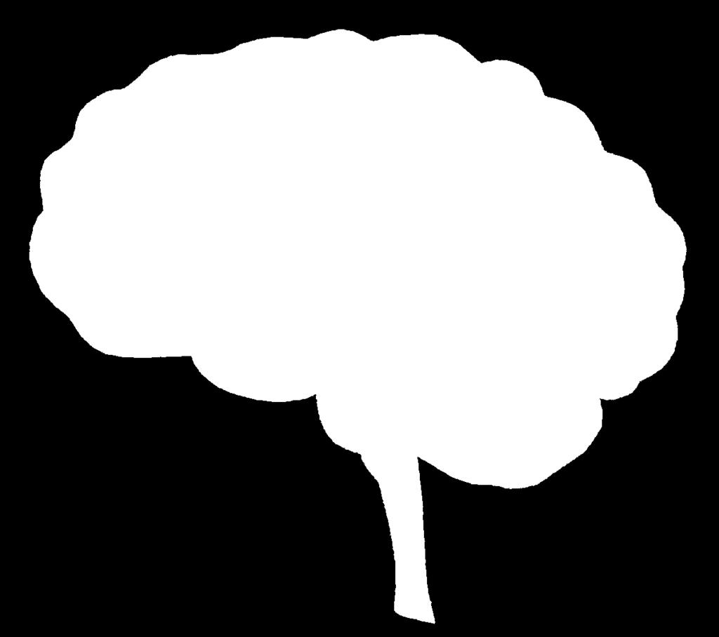 tarkkaavuuden säätely (dopamiini) Tyvitumakkeet ja Striatum