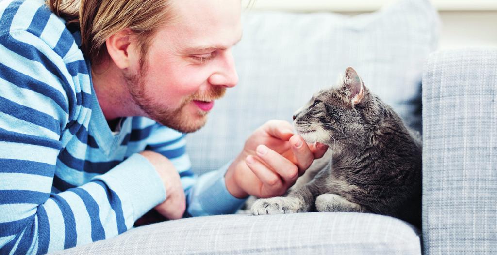 Kodinkoneiden hoitaminen puhdista jääkaapin ja lieden tausta säännöllisesti, jotta sinne ei kerry pölyä sulata jääkaappi säännöllisesti ja tarkasta samalla, että vesikourun poistoaukko on puhdas ja