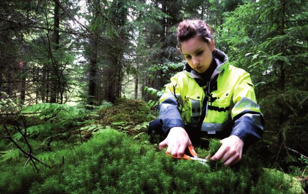 Jatkuvaa työtä ympäristön hyväksi TVO:n yhteiskuntavastuu perustuu kestävän kehityksen periaatteisiin.