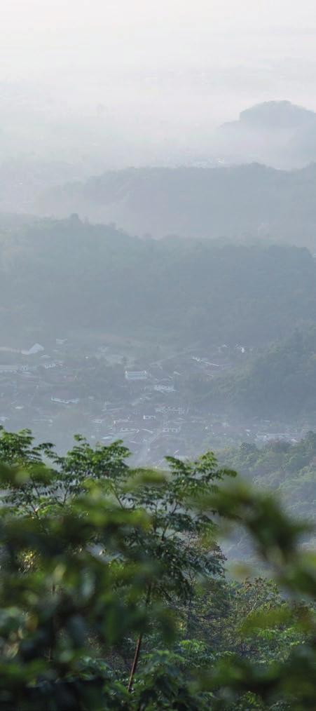 Myanmarin ja Laosin rajoille asti ulottuvilla vuoristoseuduilla asui Hill Tribe -heimon ihmisiä, joilla ei ollut kansalaisuutta ja jotka raivasivat kaskeamalla viljelymaata selvitäkseen jotenkin