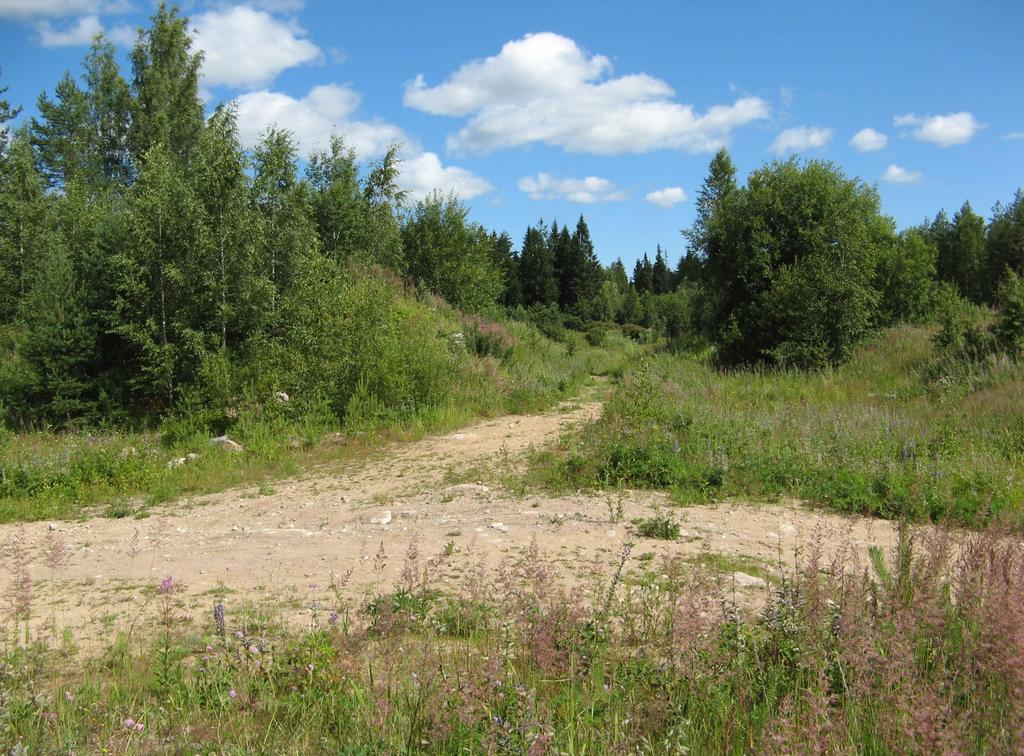 HYRYLÄN RYKMENTINPUISTON ALUEEN LUONTOSELVITYSTEN TÄYDENNYS