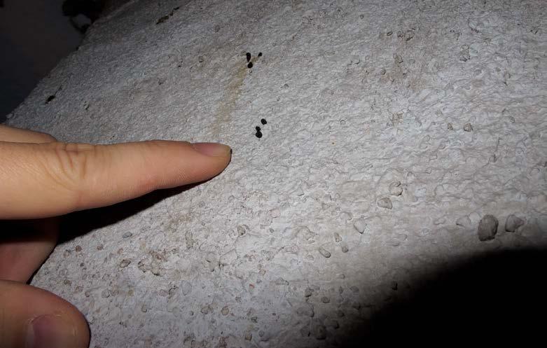 Rakennuksiin numero 21:een ja 27:ään ei päästy. Rakennuksessa numero 21:ssä kattoluukku oli ilmeisesti kiinnitetty sisäpuolelta tai juuttunut kiinni.