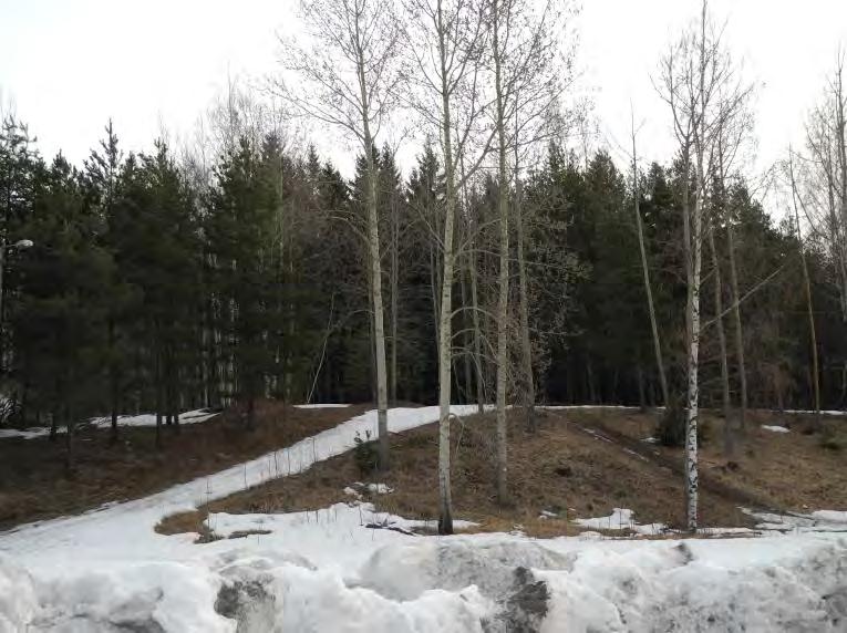 Tuusulan Hyrylän liito-oravatarkistus 2012 Kuva 1.