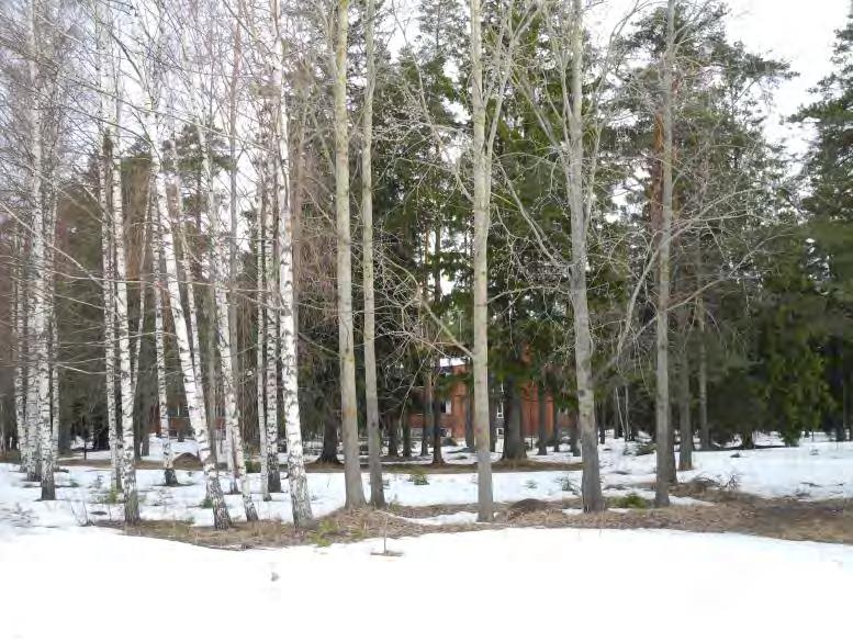 merkkejä liitooravista. Kuva 2.