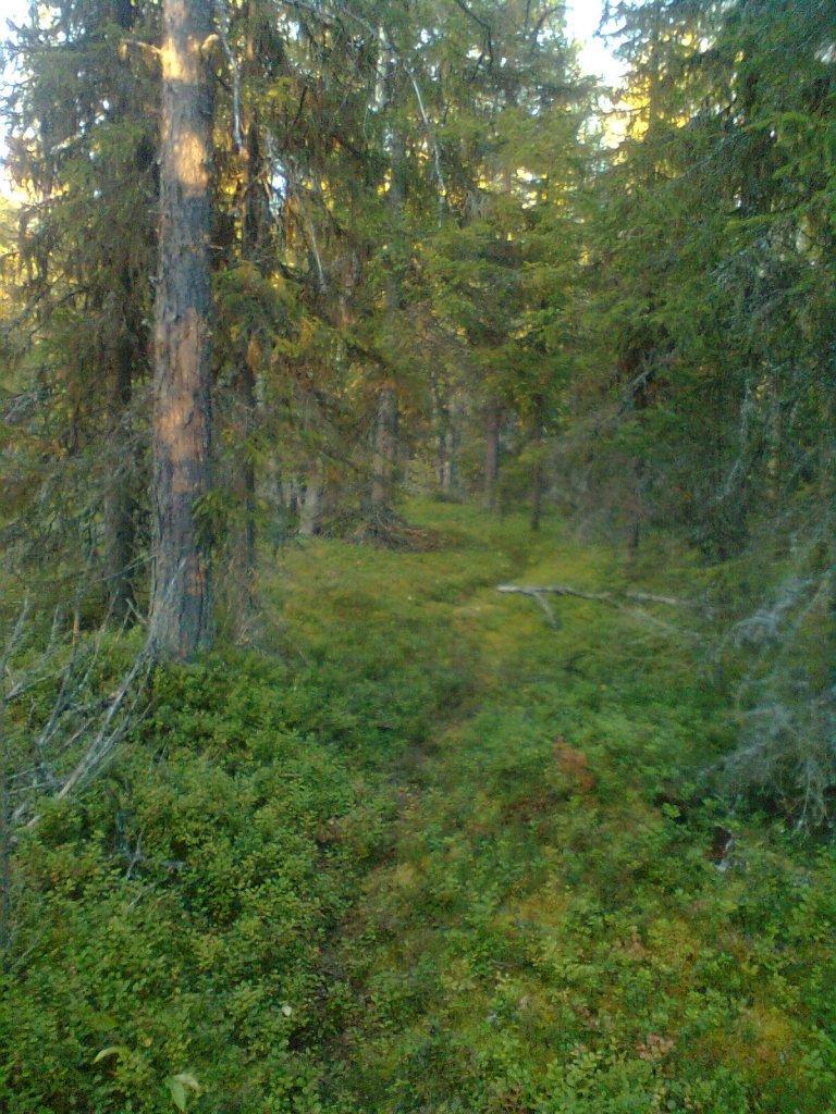 170 Kohteen rajaus Kohde rajattiin maanpinnalle näkyvän säilyneen osan kohdalle. Tulkinta Kohteessa on jatkosodan aikainen JR12:n käyttämä kulkureitti, ns. sotapolku. Lisätietoja Hautala, E.