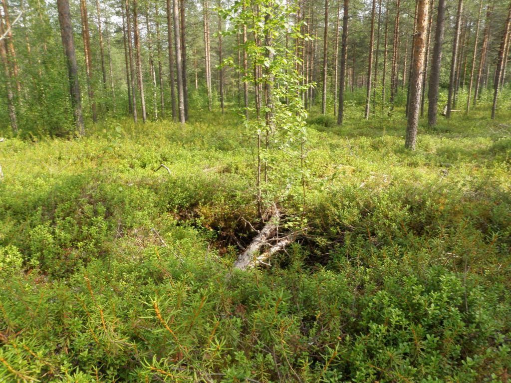 176 Kohteen rajaus Kohde rajattiin maanpinnalle näkyvien rakenteiden perusteella. Tulkinta Kyseessä on Salpalinjaan liittyviä toisen maailmansodan aikaisia kenttälinnoitteita.