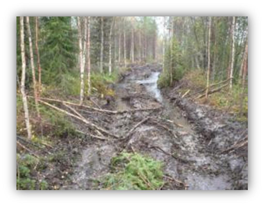 Urapainumien välttäminen Hakkuun oikea ajoitus ja oikea korjuukalusto Kohteen kantavuuden tunnistaminen tärkeää Pienialaiset, heikosti kantavat kohdat, voidaan kiertää Havutuksen käyttäminen