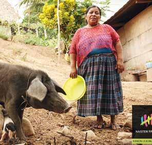 Hurrikaani Matthew repi katon vanhan pariskunnan talosta. Haitin Saut Maturinissa jaettiin humanitaarista apua pian myrskyn jälkeen.