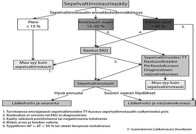 Sepelvaltimotauti: suuren riskin löydös