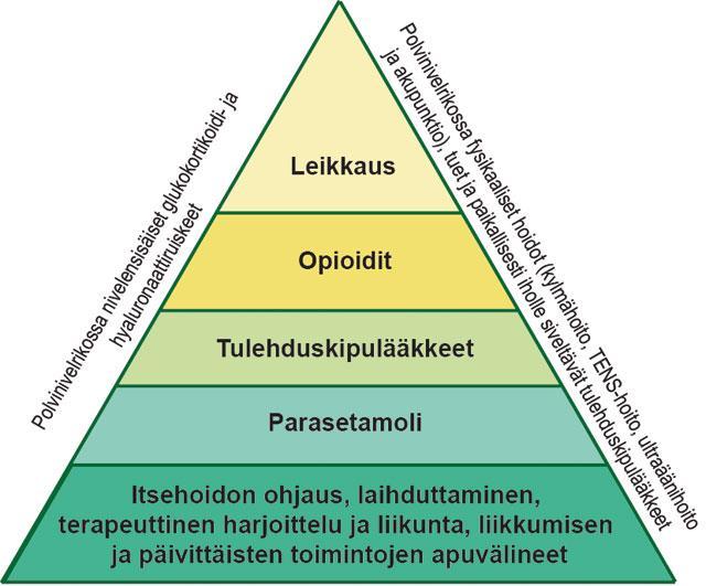 19 Kuvio 1. Nivelrikon hoidon porrastus (Polvi- ja lonkkanivelrikko: Käypä hoito - suositus 2014).