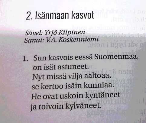 Mitä edustajisto sitten tekee?
