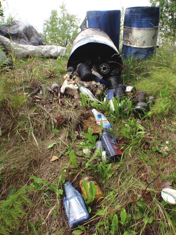 4.2 Tutkintapyyntö ja asiantuntijalausunto mpäristövalvontaviranomaiset kokivat Ytutkintapyynnön tekemisen työlääksi.