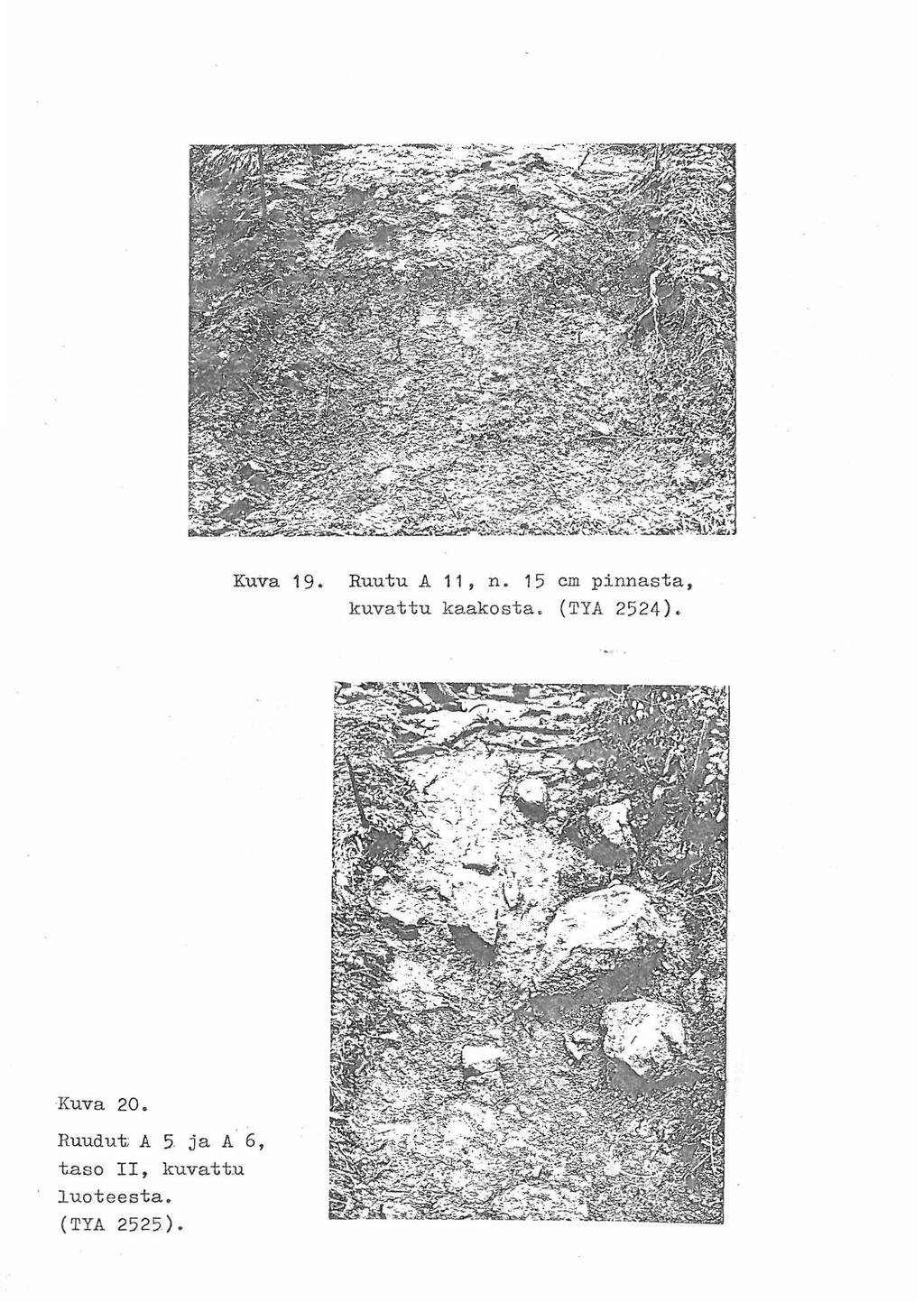 Kuva 19. RuutuA 11, n. 15 cm pinnasta, kuvattu kaakosta. (TYA 2524).