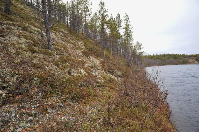 4.81 Pahtosjavri Kohde sijaitsee Pahtosjavrin pohjoispäässä Norjan puolella jokea (Kuva 262). Se on vanha ja pieni 30 metriä pitkä eroosiovyöhyke 15 metriä korkeassa törmäterassissa.