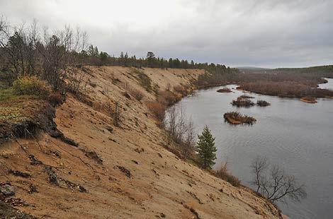 Useassa kohdassa nousee pikku mäntyjä. Alimpana on reunus, jossa kasvillisuus on yhtenäisempää. Siellä kasvipeite kattaa lähes 80 %.