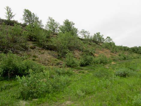 4 Tenojoen eroosiokohteet 4.1 Vuolbmanguolba Kuva 1. Vuolbmanguolba, Norja, Tana. Eroosiokohteet, Vuolbmanguolba 1, 2 ja 3 sijaitsevat Norjassa, Tanan kunnassa Hillagurra -kylän koillislaidalla.