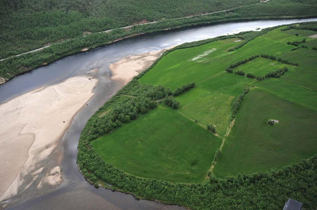 Teppansaari/