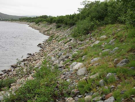 4.5 Pajuranta Kuva 11. Pajuranta, Suomi, Utsjoki. Eroosiokohde sijaitsee Suomessa Utsjoen kunnassa, Nuorgamin kylän keskustasta noin 2.