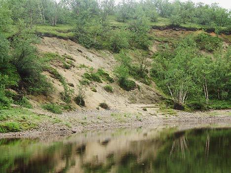 Nämä tekijät saavat hienon maa-aineksen valumaan törmältä alas jokeen. 4.13.2 Palokoski 2 Palokoski 2 sijaitsee Skuhcaranája -ojan eteläpuolella joen poukaman kohdalla.