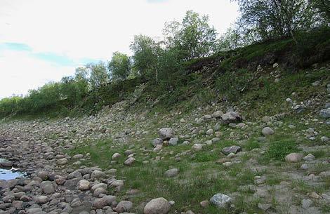 Maalaji on hiekkaa ja moreenia. Törmälle rannan läheisyyteen on rakennettu lomamökkejä. Törmän yläosassa on varpukasvillisuutta (Empetrum nigrum, E. nigrum ssp.