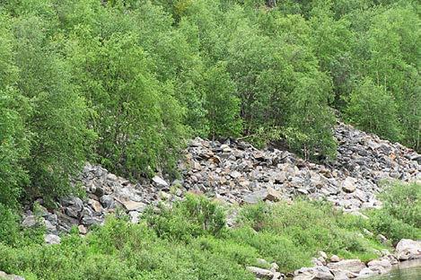 Eroosiokohteella on tehty eroosiosuojaus, mikä on vähentänyt kohteen syöpymistä. Rantavyöhyke on jyrkkä ja kivinen (Kuva 86). Kivikon raekoko on 50 100 cm.