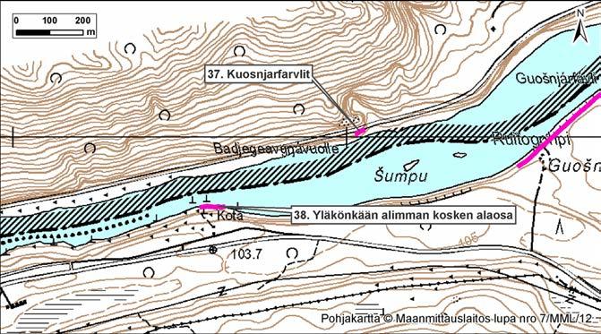 4.37 Kuosnjarfarvlit Kuva 114. Kuosnjarfarvlit, Norja, Tana.