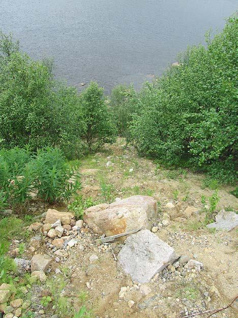 Kurkela. Kuva 126.