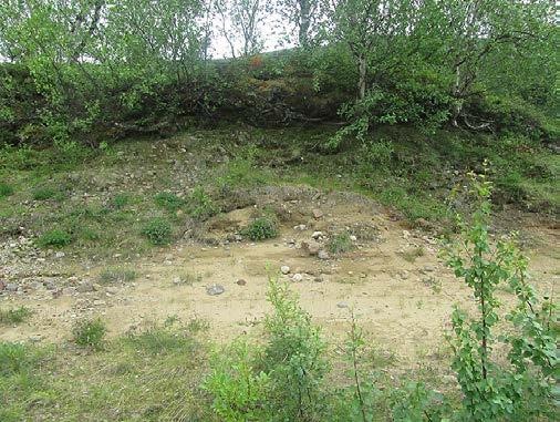 Maalaji on moreenia. Rantavyöhyke on loiva ja noin 20 metriä pitkä. Vyöhyke on lähes kauttaaltaan kasvillisuuden peitossa (Kuva 150). Valtalajina ovat sammalet.