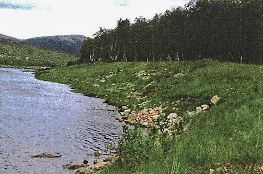Kohde on avoimempi kuin Nuvvuskaava 1,