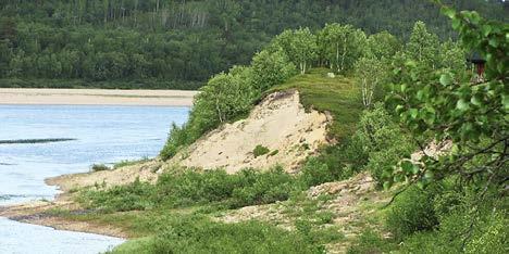 Kaikilla kohteilla ranta- ja rinnevyöhykkeet ovat hyvin erotettavissa. Rantavyöhyke on melko tasainen, kun taas rinne vaihtelevasti jyrkkenevä (Kuva 176).