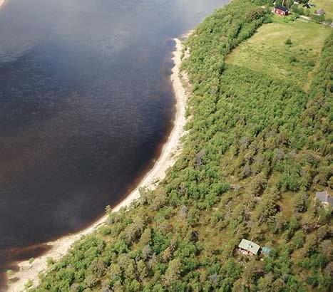 Eroosiokohde sijaitsee Suomessa, Utsjoen kunnassa Rovisuvannosta reilu kaksi kilometriä Tenojokea ylävirtaan Lohikoste -saaren alapuolella (Kuva 206). Kohde on 10 m korkea ja 420 m pitkä (Kuva 207).
