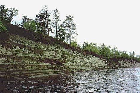 Suurimmaksi osaksi alueella kasvaa heinälajeja, kuten lampaannataa (Festuca ovina), pohjantähkiötä (Phleum alpinum) ja siniheinää (Molinia caerulea).