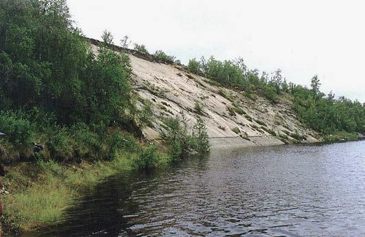 Rinteeseen ei ole syntynyt rantavyöhykettä eikä vahvistavaa paju- tai kivivyöhykettä.